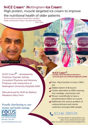 N-Ice Cream Flyer (1)